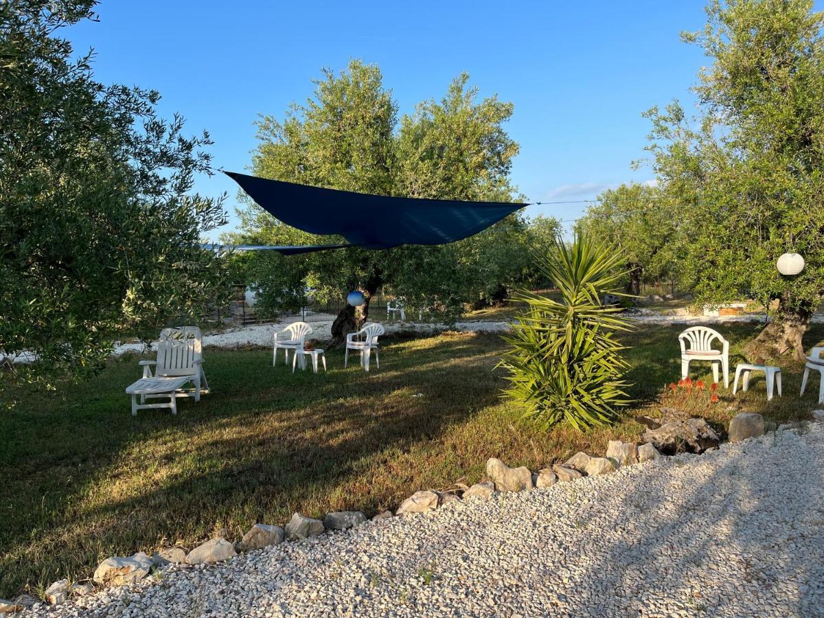 B&B Villa Mediterranee Con Parking Space Trani Exterior foto